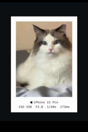 image-20260821164142409