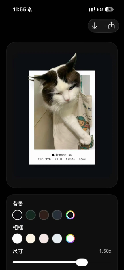 PixPin_2026-03-26_09-49-55