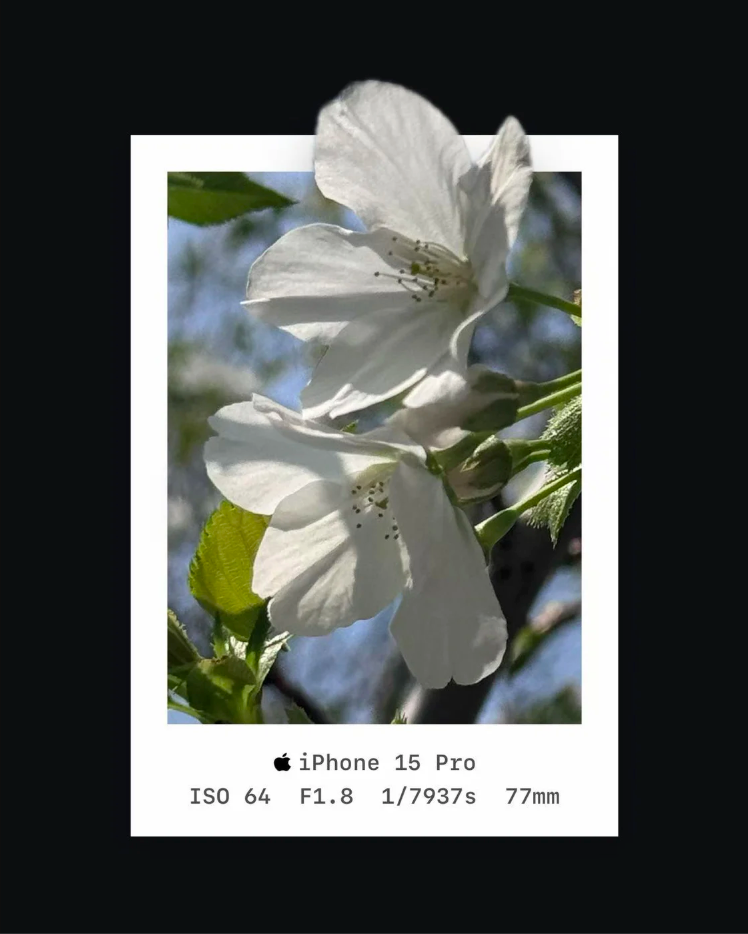 PixPin_2026-03-26_09-47-22